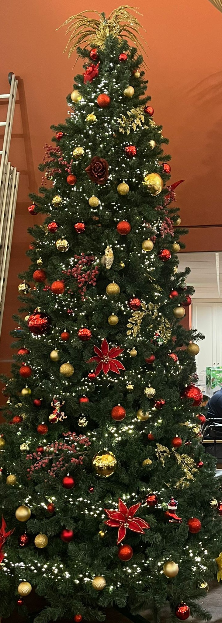 kerstboom AVL – dec ’25 – 3